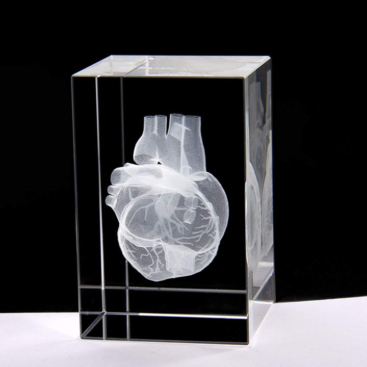 3D Human Heart Anatomical Model Paperweight(Laser Etched) in Crystal Glass Cube Science Anatomy Gift (No Included LED Base)(3.1x2x2 inch)