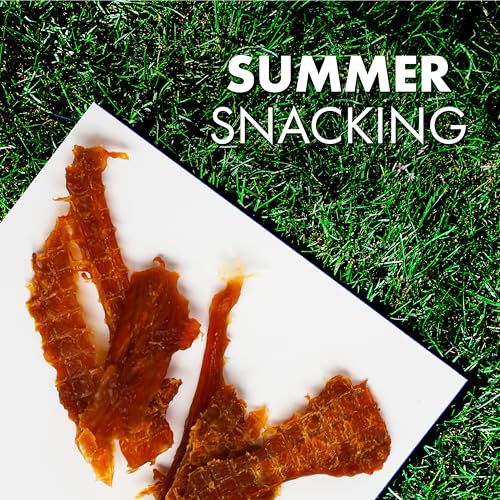 Dog Treats, Chicken Jerky for Dogs, Made with 100% Real Chicken Breast, 16 Ounces, Healthy, Easily Digestible, Long-Lasting, High Protein Dog Treat, Satisfies Dog's Urge to Chew (Pack of 1)
