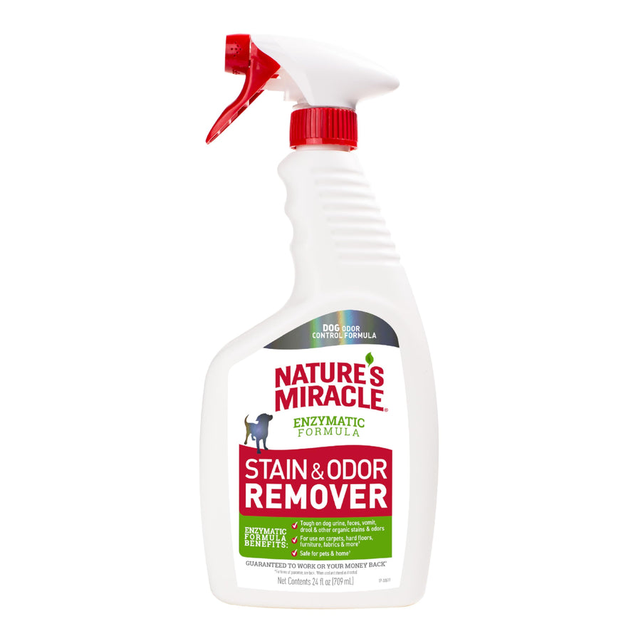 Dog Stain and Odor Remover, Everyday Mess Enzymatic Formula, 24 fl oz