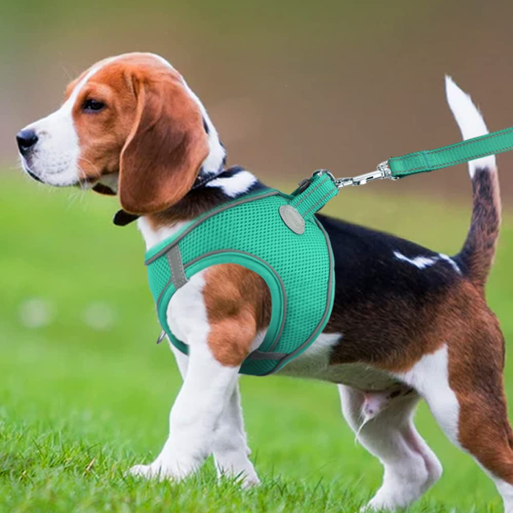 Small Dog Harness, Breathable Mesh Step-in Vest Harness, Reflective Soft Padded Harnesses for Medium Dogs, Teal, XL