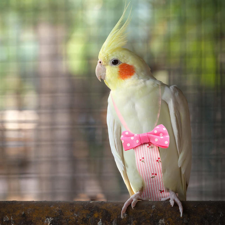 Cockatiel Bird Diaper Flight Suite Liners Yellow Pink Blue (Pink Cherry)