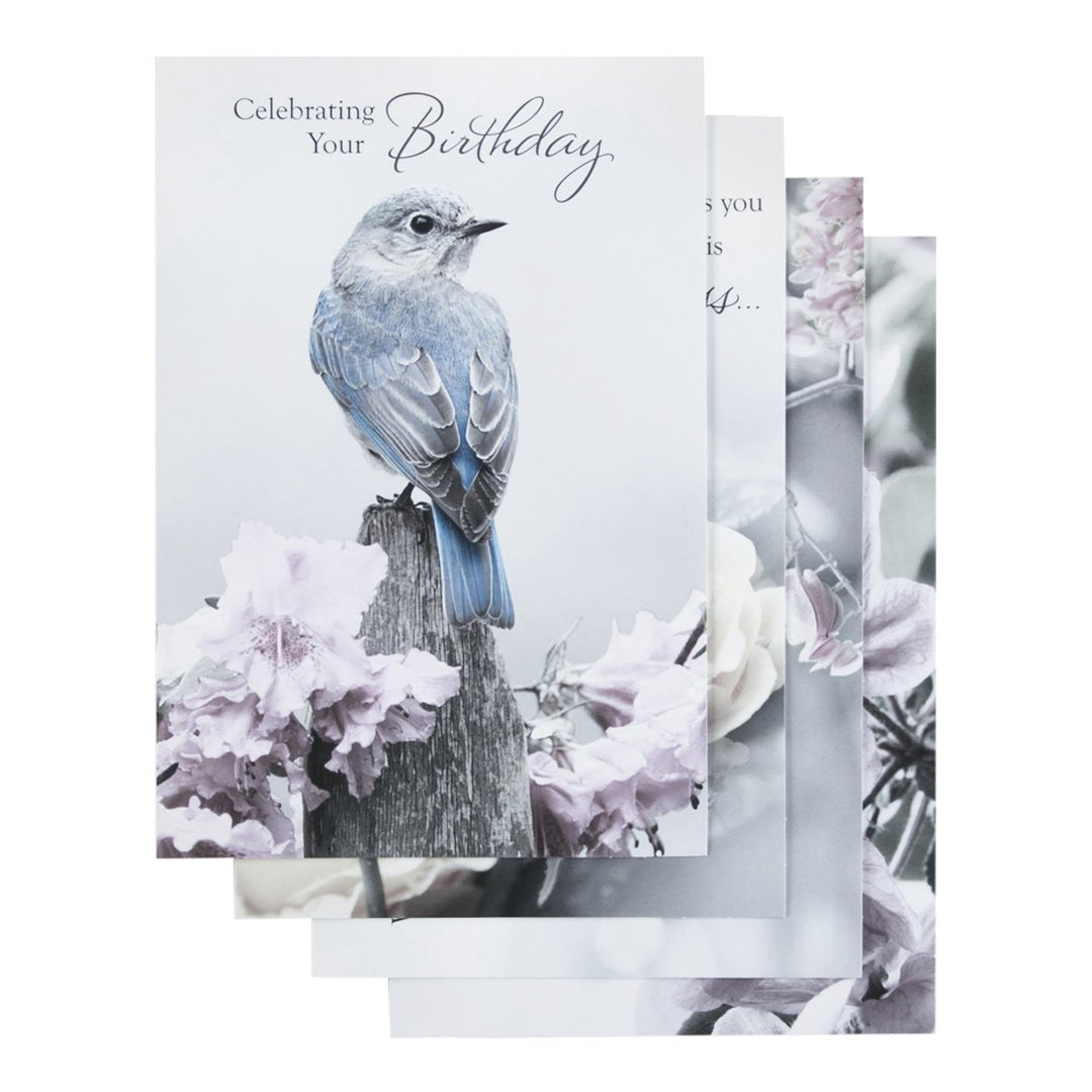 DaySpring Birthday - Inspirational Boxed Cards - Touch of Color - 37363