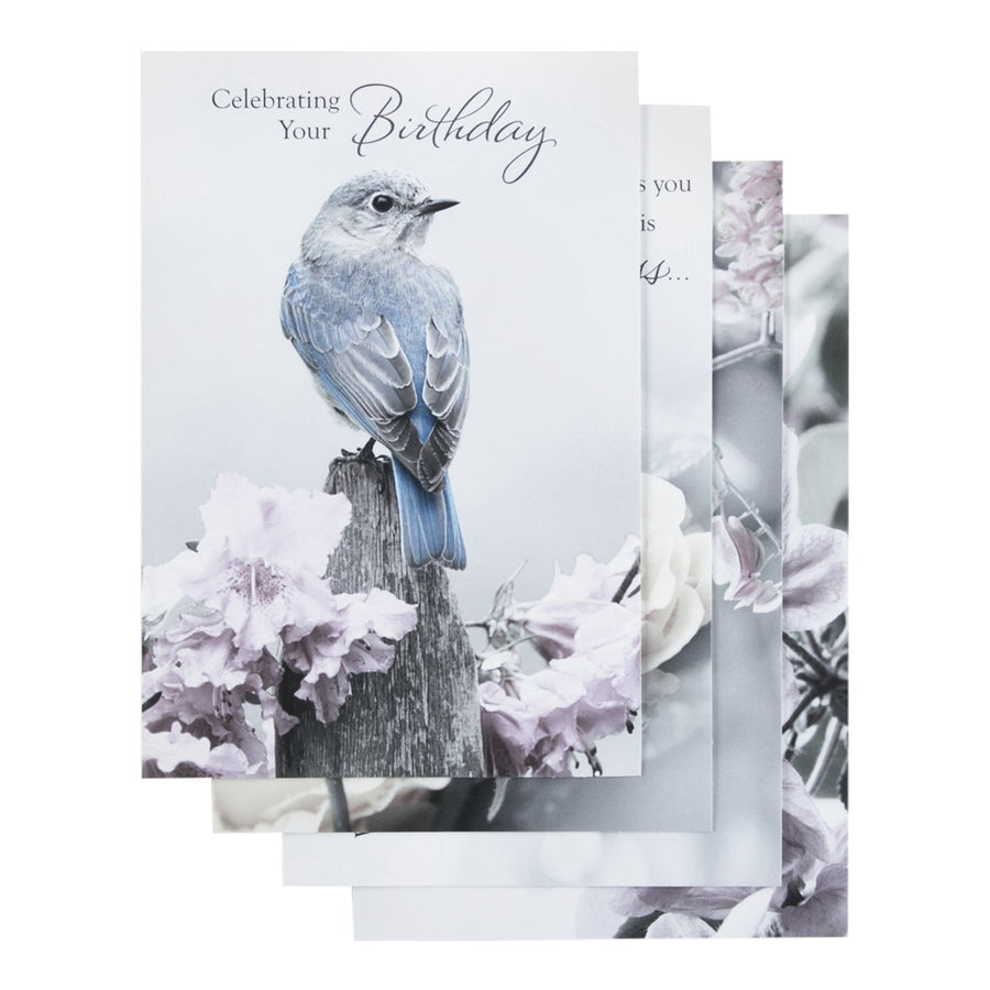 DaySpring Birthday - Inspirational Boxed Cards - Touch of Color - 37363