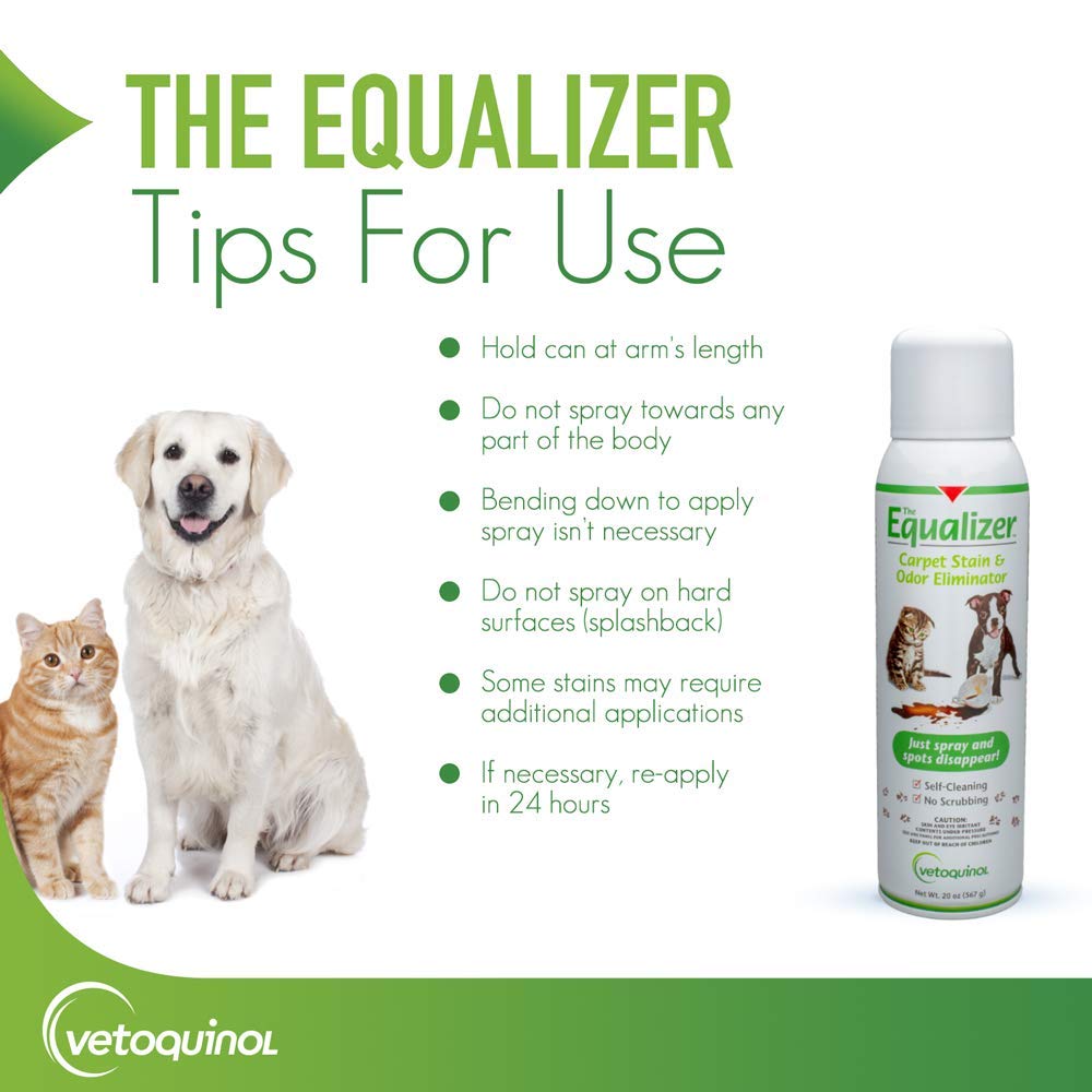 Equalizer Pet Carpet Cleaner, Stain Remover & Odor Eliminator, Carpet Spot Cleaner, 20oz