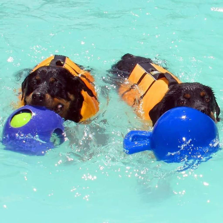 Dog 10-Inch Tug-n-Toss, Blue