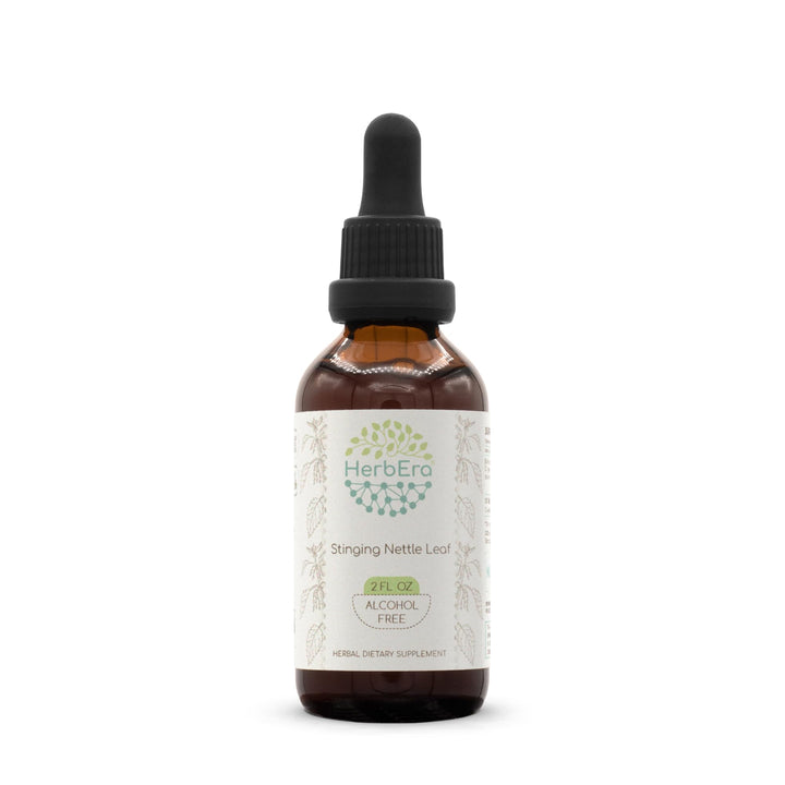 Stinging Nettle Leaf B60 Alcohol-Free Herbal Extract Tincture, Concentrated Liquid Drops Natural Stinging Nettle (Urtica Dioica) Dried Leaf (2 fl oz)