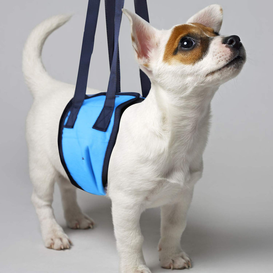 Pet Sling Dog Harness Blue (Large)
