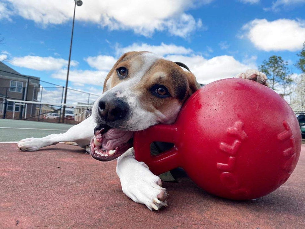 Tug-n-Toss Heavy Duty Dog Toy Ball with Handle, 8 Inches/Large, Red (408 RD)
