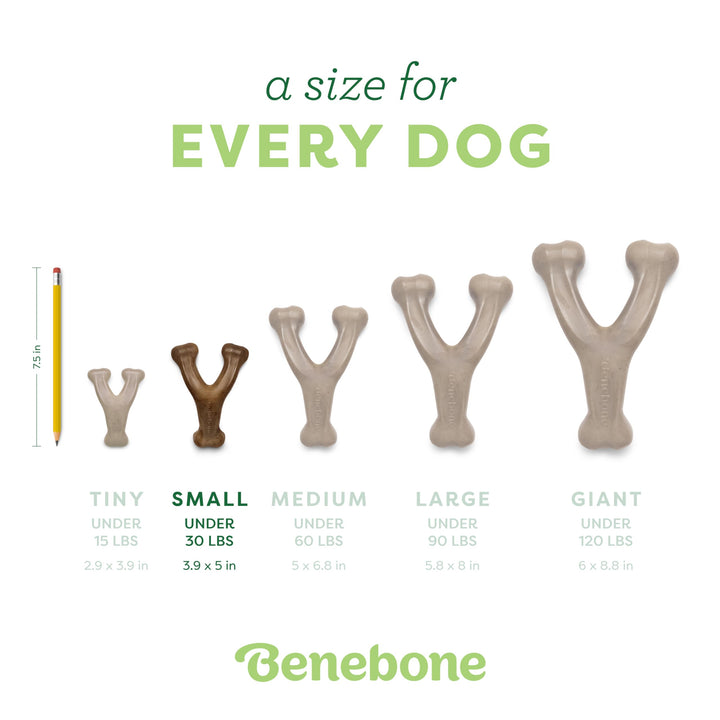 Wishbone Durable Dog Chew Toy for Aggressive Chewers, Real Chicken, Made in USA, Small, for Any breed