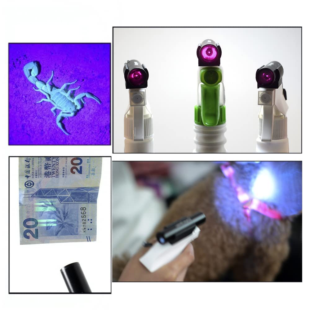 UV Light 365nm Pet Urine Detecting Flashlight with Black Filter Blacklight Torch