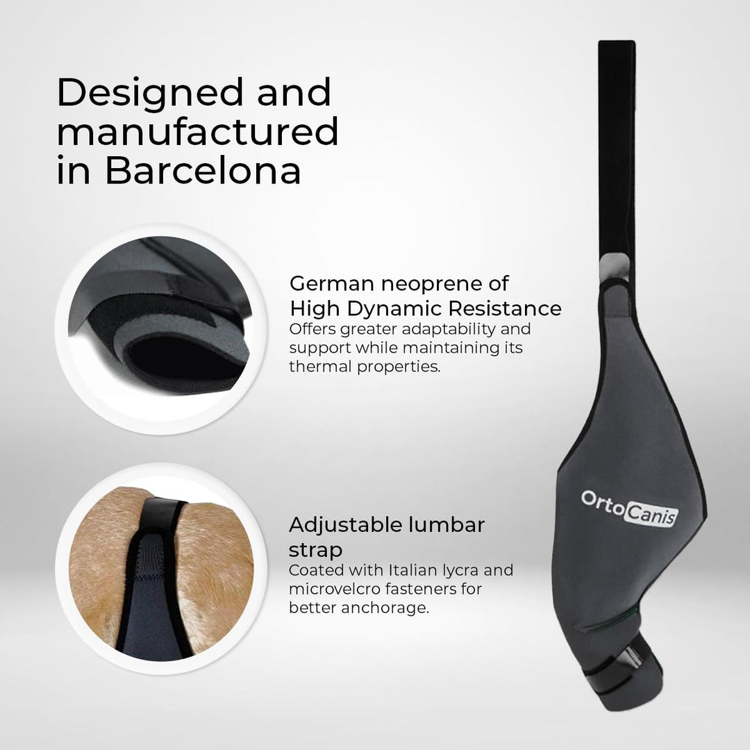 Dog Knee Brace for Torn Acl Hind Leg, Cruciate Ligament Injuries, Patella Dislocation or Osteoarthritis (X-Large, Right Leg) - Dog Acl Knee Brace - Dog Braces for Back Leg for Support