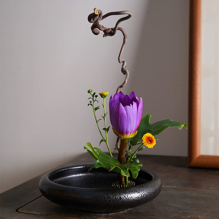 12PCS Round Flower Frog, Floral Pin Frog Japanese Flower Frogs for Arrangements Flower Arranging Tools Frog Flower Holder for Flower Arrangement, Plant Fixation, Plant Decoration, Gold