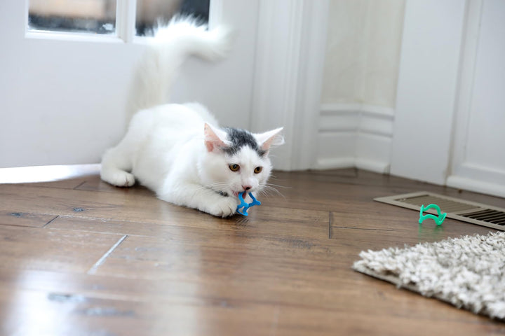 Interactive Cat Toys - Cat Crazies Multi Pack , 4 Count (Pack of 1)