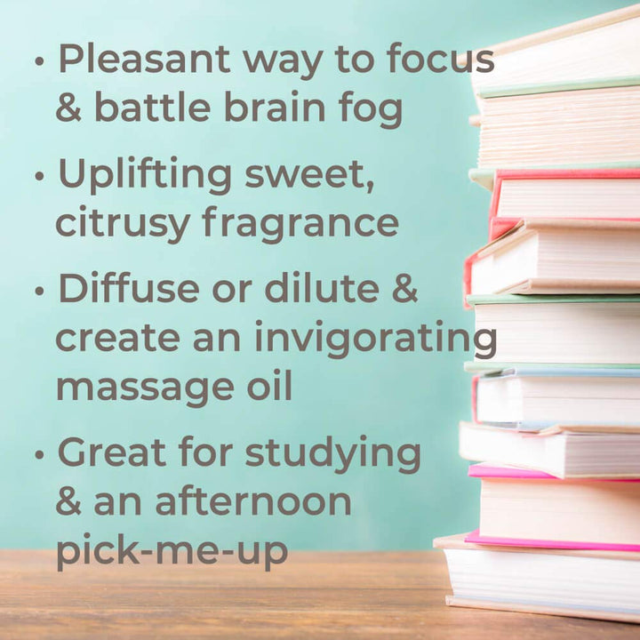 Brain Aid Essential Oil Blend for Focus & Attention 100% Pure, Pre-Diluted, Natural Aromatherapy, Therapeutic Grade 10 mL (1/3 oz)