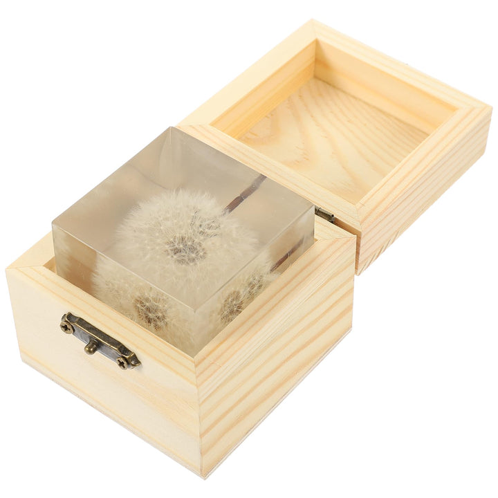 3D Dandelions Paperweight Real Puff Specimen Statue in Crystal Glass Cube Desk Ornament Fengshui Decor for Graduation Birthday Glass Balls
