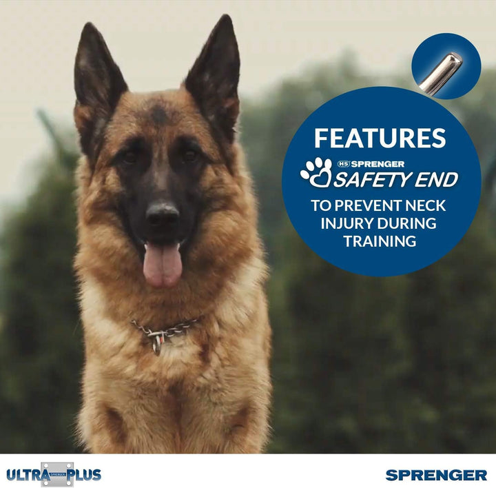 Pet Supply Imports Chrome Plated Training Collar with Quick Release Snap for Dogs, Medium, 3.0mm, 21-Inch