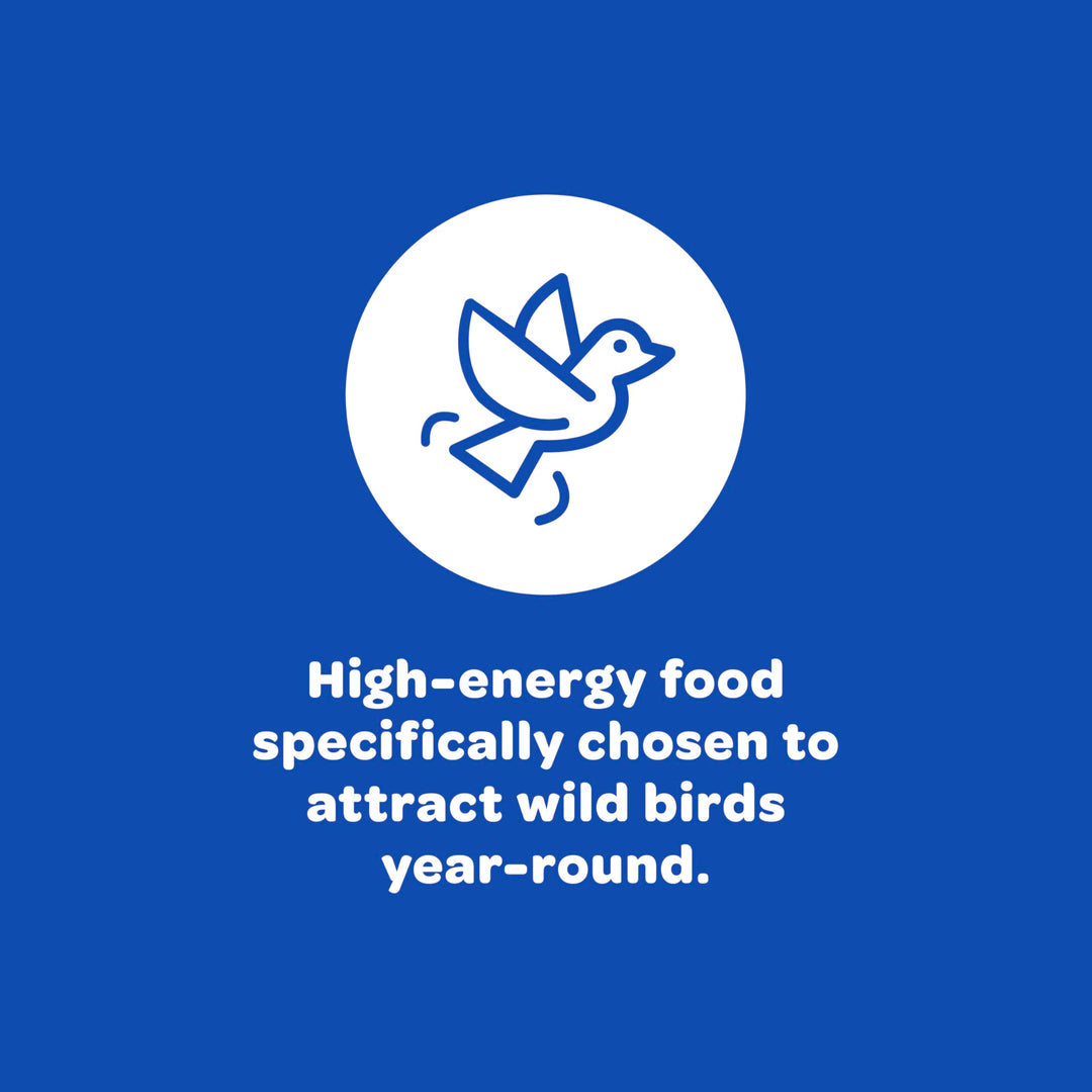 Peanuts Wild Bird Food, High in Fat and Protein
