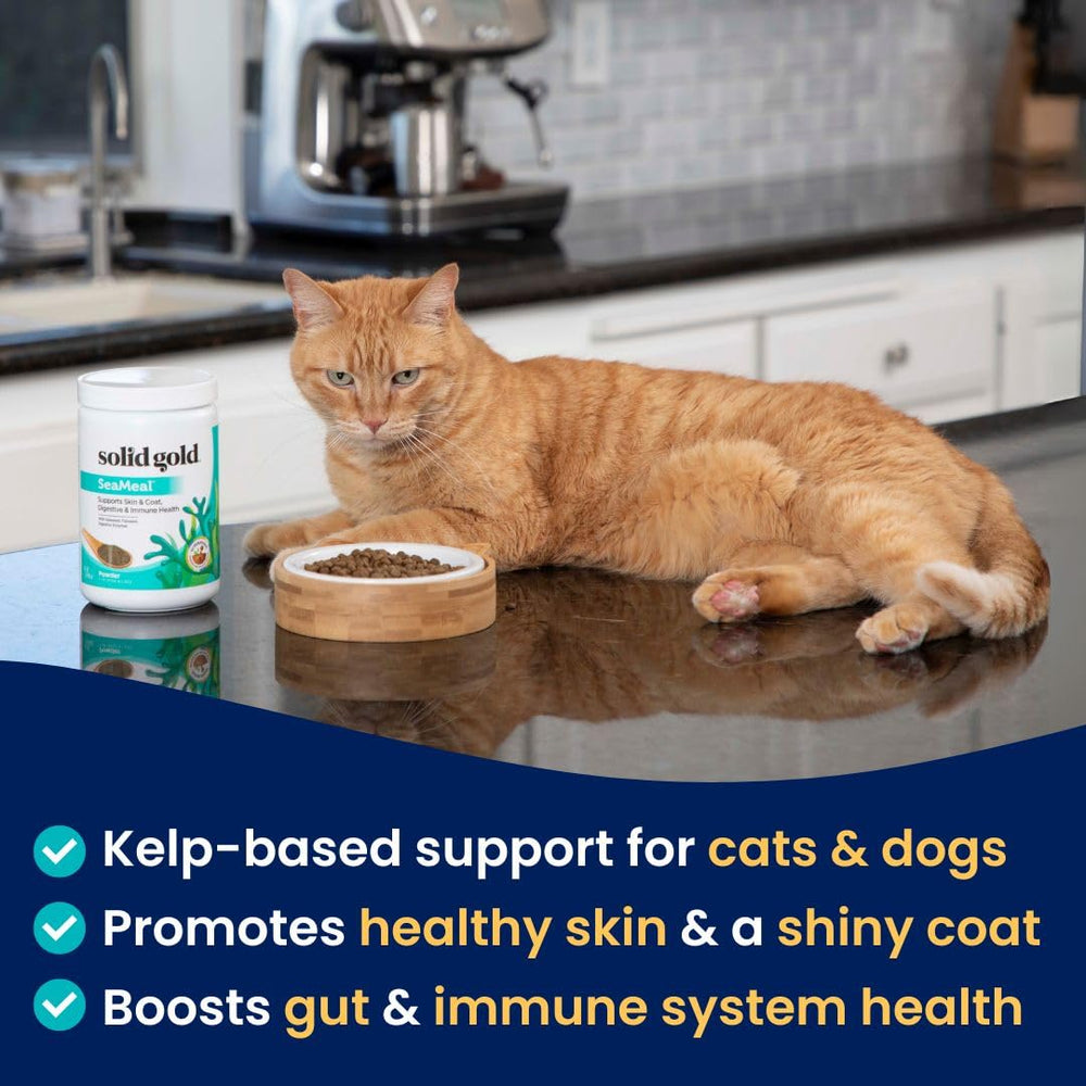 Dog & Cat Vitamin Supplements - Kelp Powder, Omega 3, Vitamins, Digestive Enzymes, Immune Support - 1 LB