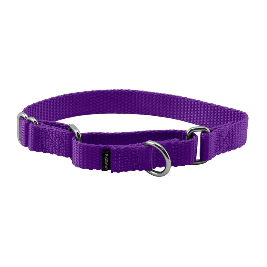 Adjustable Martingale Collar - Only Tightens When Dogs Pull, Prevents Slipping Out - Helps with Strong Pullers, Increased Control - Alternative to Choke Collar - 3/4, Small, Deep Purple