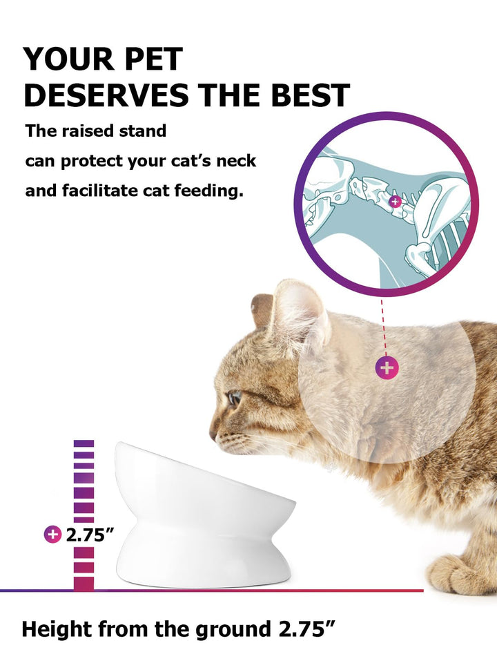 Cat Bowl Anti Vomiting, Raised Food Bowls, Tilted Elevated Bowl, Ceramic Pet Food Bowl for Flat Faced Cats, Small Dogs, Protect Pet's Spine, Dishwasher Safe (5 Inches, White)