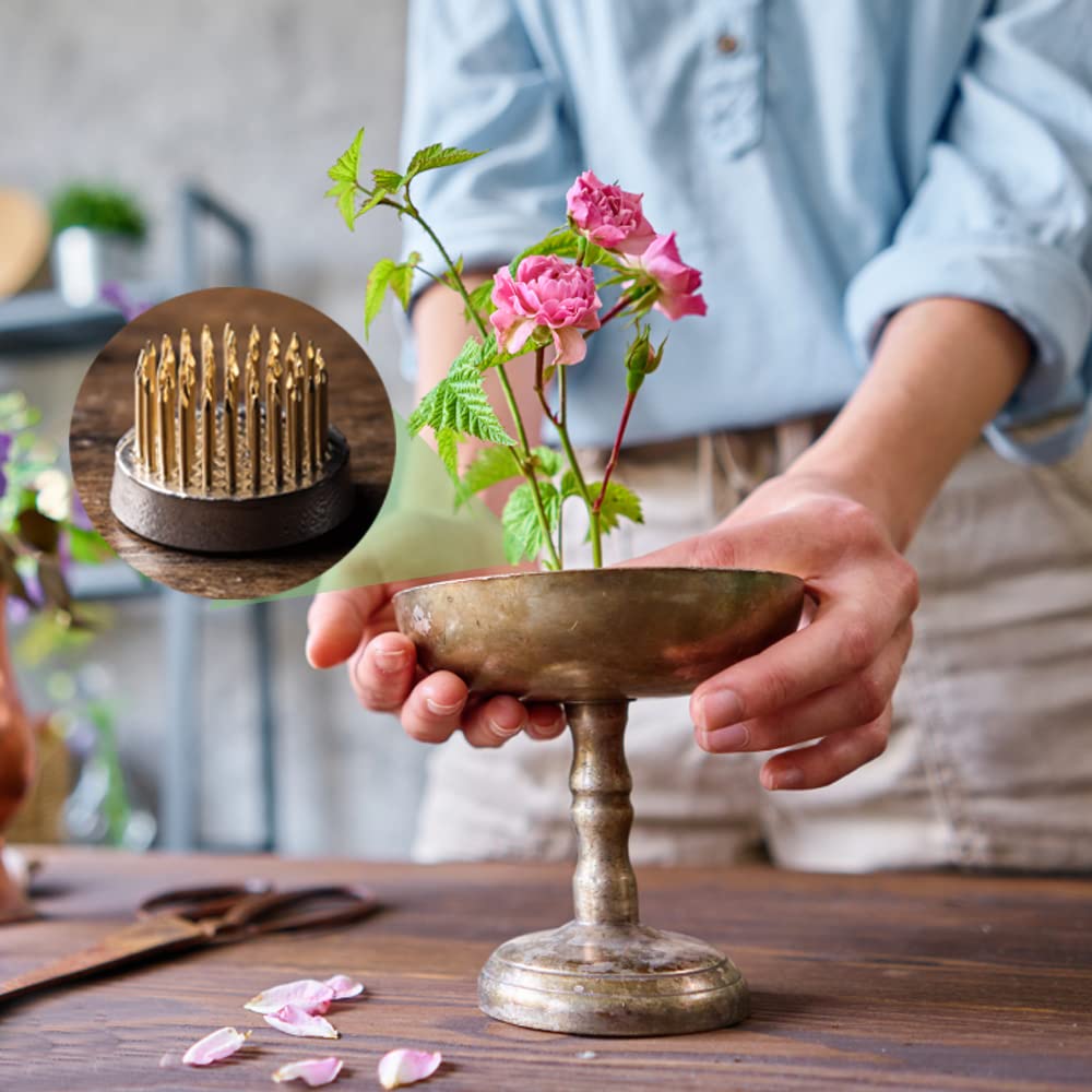 12PCS Round Flower Frog, Floral Pin Frog Japanese Flower Frogs for Arrangements Flower Arranging Tools Frog Flower Holder for Flower Arrangement, Plant Fixation, Plant Decoration, Gold