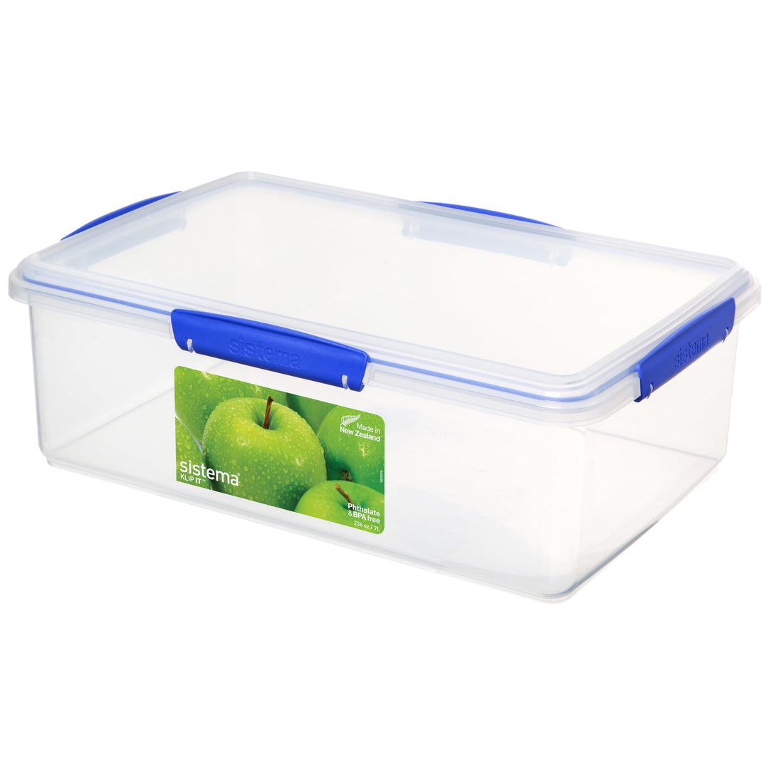 Large Food Storage Container with Lid for Lunch