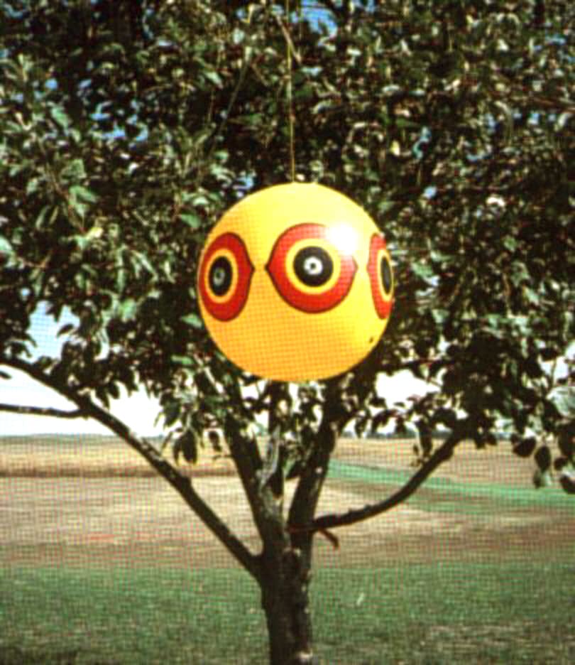 Scare-Eye Bird Repellent Predator Eyes Balloon, Yellow