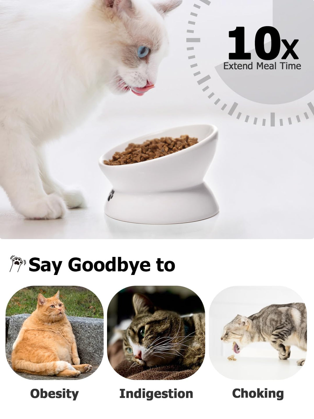Cat Bowl Anti Vomiting, Raised Food Bowls, Tilted Elevated Bowl, Ceramic Pet Food Bowl for Flat Faced Cats, Small Dogs, Protect Pet's Spine, Dishwasher Safe (5 Inches, White)