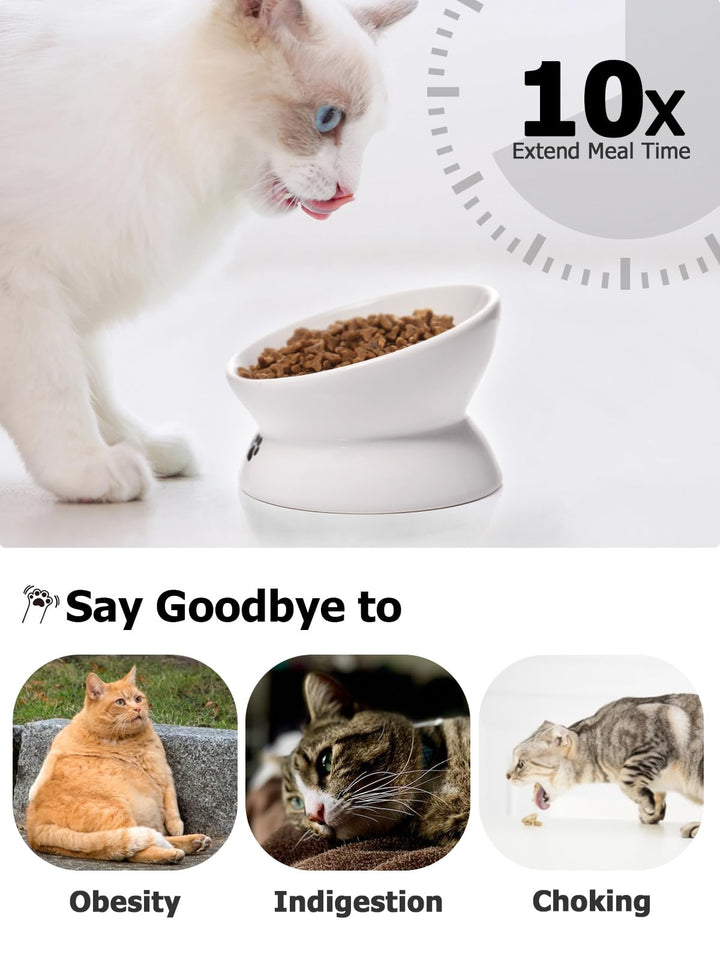 Cat Bowl Anti Vomiting, Raised Food Bowls, Tilted Elevated Bowl, Ceramic Pet Food Bowl for Flat Faced Cats, Small Dogs, Protect Pet's Spine, Dishwasher Safe (5 Inches, White)