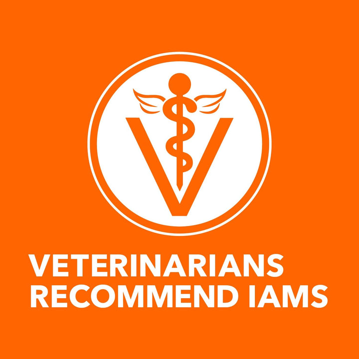 IAMS PROACTIVE HEALTH Healthy Kitten Dry Cat Food with Chicken Cat Kibble, 16 lb. Bag