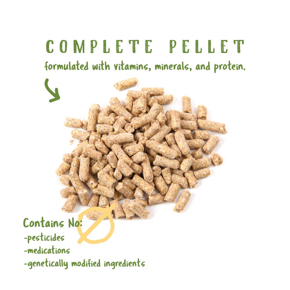 Layer Pellets for Chickens | Non-GMO & Organic High Protein Feed for Laying Hens | 10 Pounds