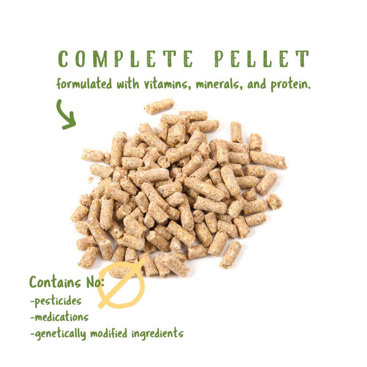Layer Pellets for Chickens | Non-GMO & Organic High Protein Feed for Laying Hens | 10 Pounds