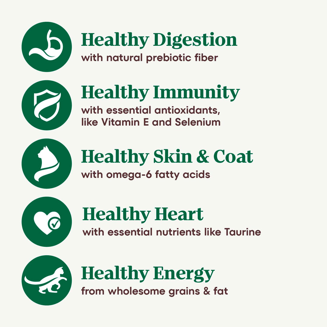 Wholesome Essentials Senior Dry Cat Food, Chicken & Brown Rice Recipe, 14 lbs.