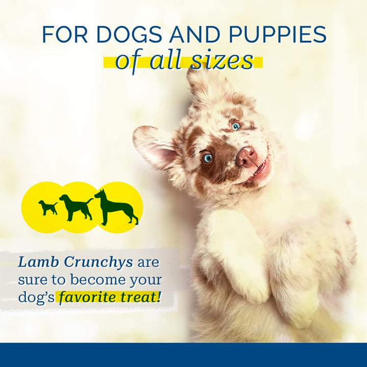 Pet Center Inc. Lamb Crunchys Raw Dehydrated Lamb Lungs Dog Treats, 16 Ounce Pack, LAM-016MC