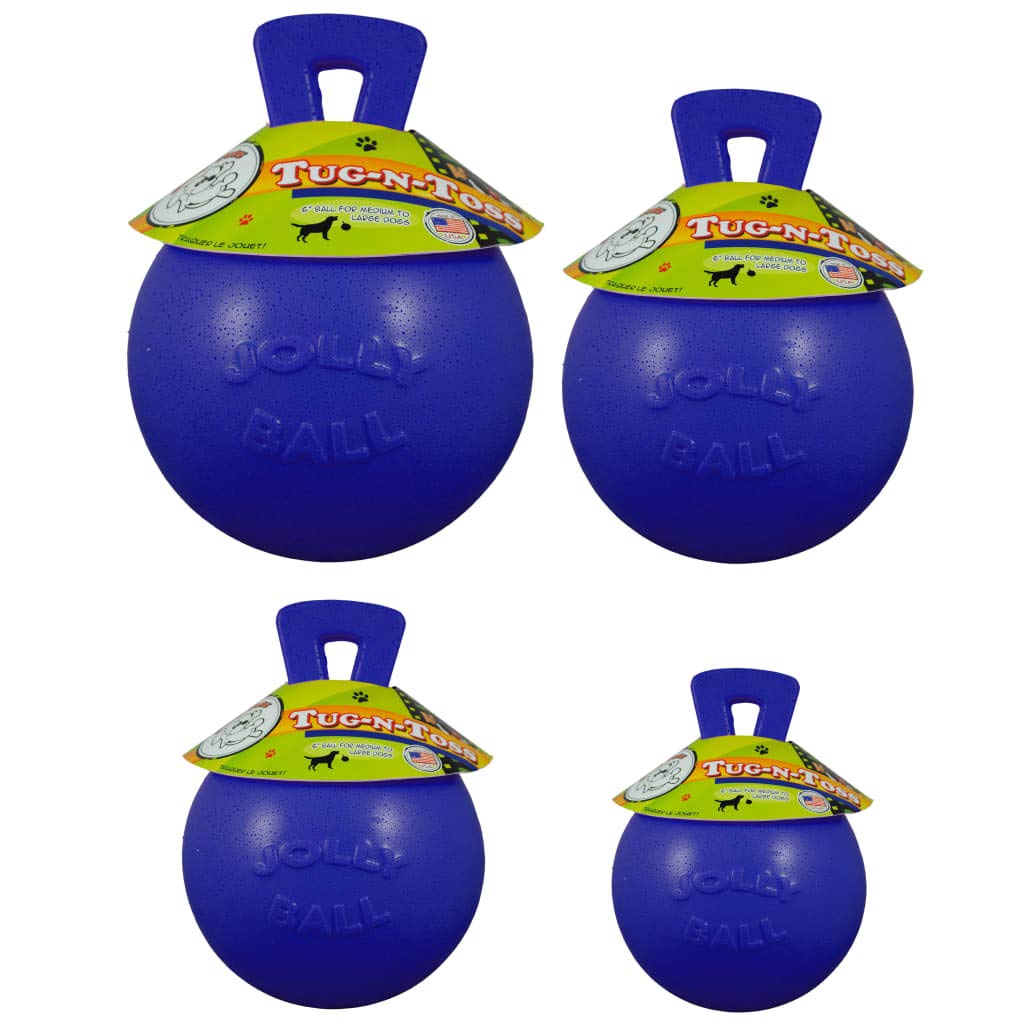 Dog 10-Inch Tug-n-Toss, Blue