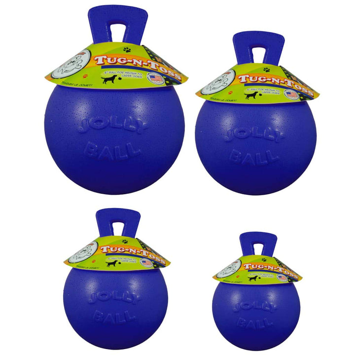 Dog 10-Inch Tug-n-Toss, Blue