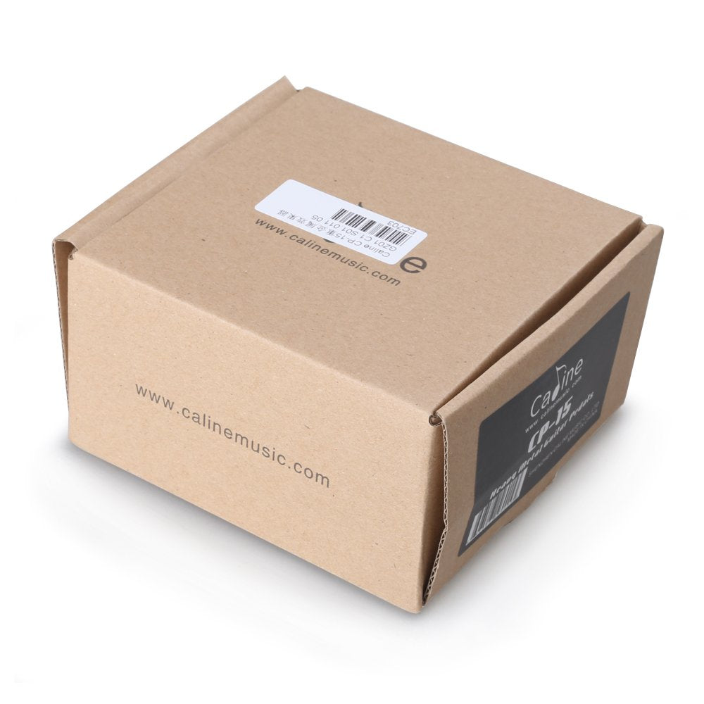 Effect Pedal for Guitar & Bass (CP-15)