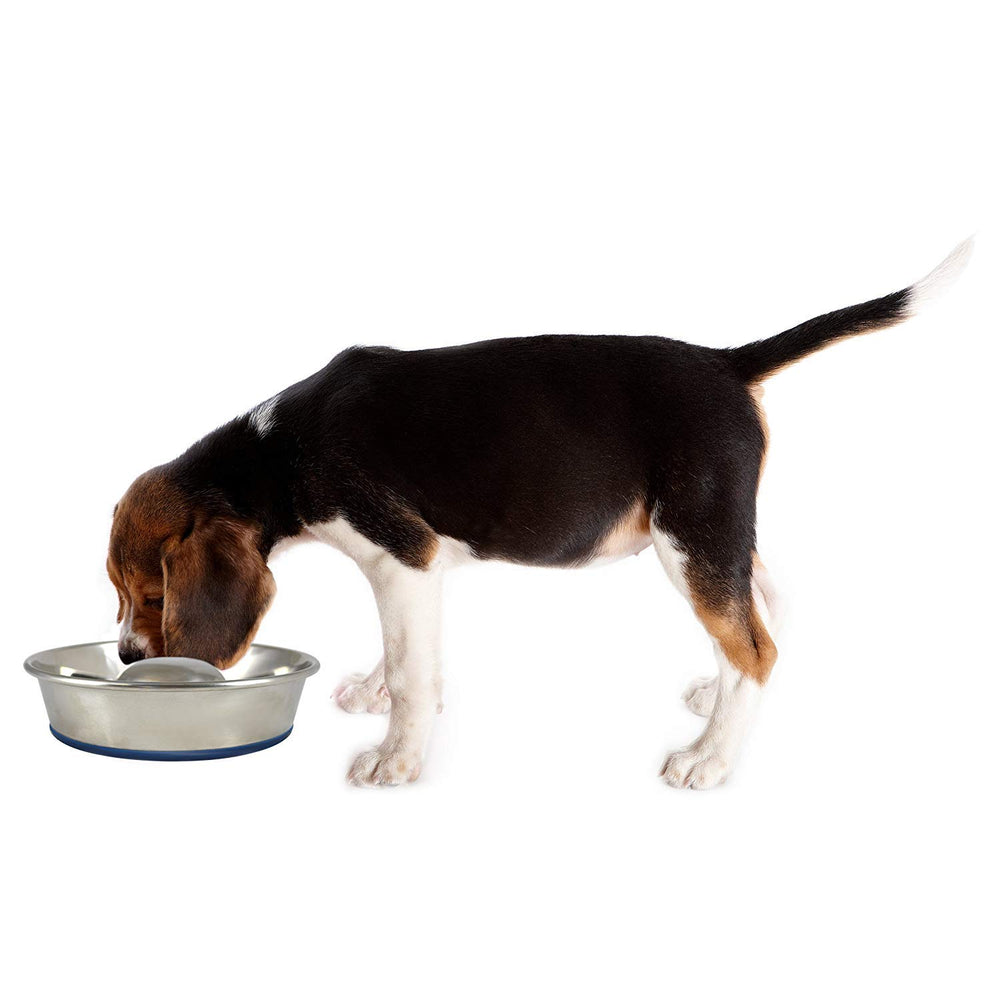 OurPet's DuraPet Slow Feed Premium Stainless Steel Dog Bowl, Silver (2040010301)