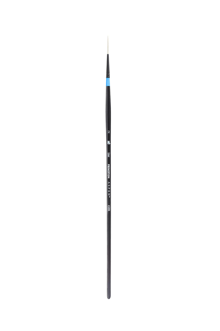 Aspen Series P6500 Liners Size 2 Long Handled