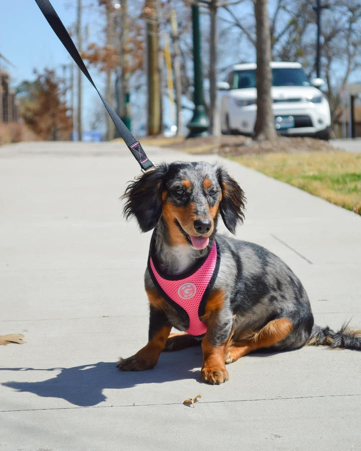 - Soft Mesh Harness, Small Dog Harness with Breathable Mesh, Flamingo Pink, Small