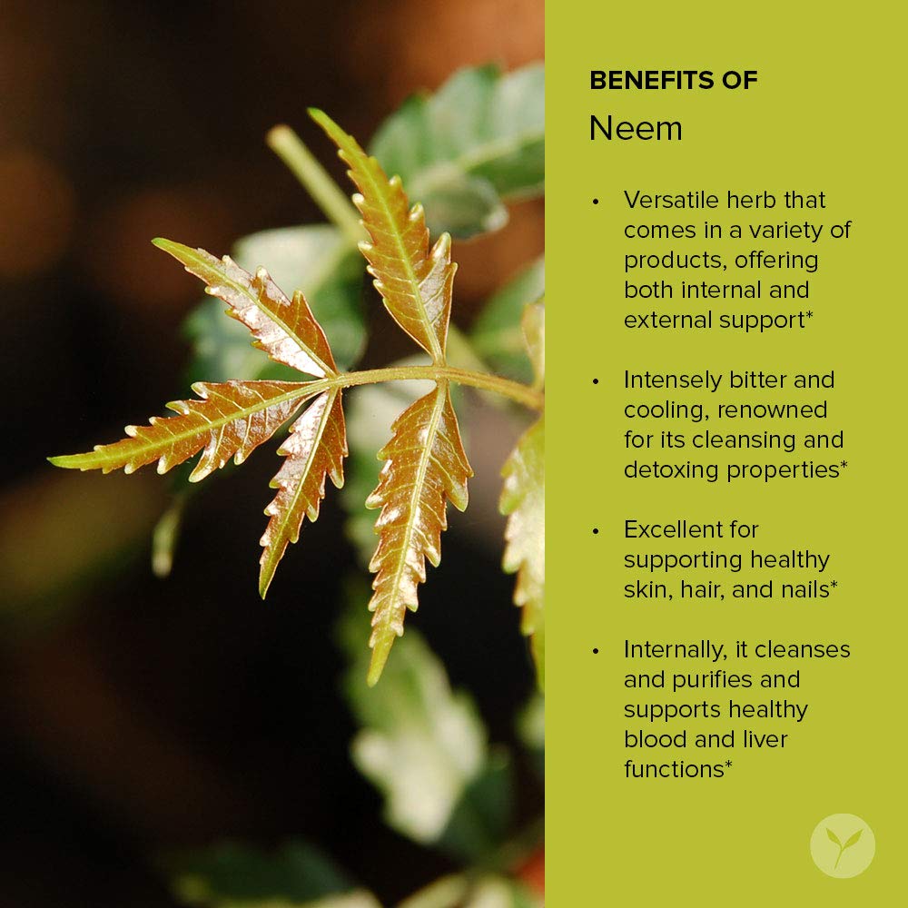 Neem Tablets – Organic Neem Leaf (Azadirachta Indica) – Supports Natural Detoxification, Healthy Skin, and Immune Health* – 90 Tablets – Non-GMO Sustainably Sourced Vegan
