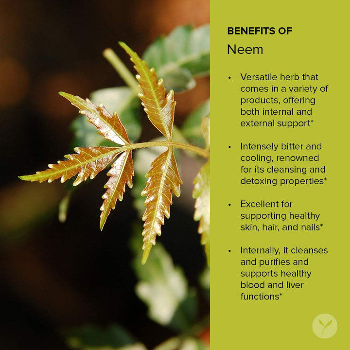 Neem Tablets – Organic Neem Leaf (Azadirachta Indica) – Supports Natural Detoxification, Healthy Skin, and Immune Health* – 90 Tablets – Non-GMO Sustainably Sourced Vegan