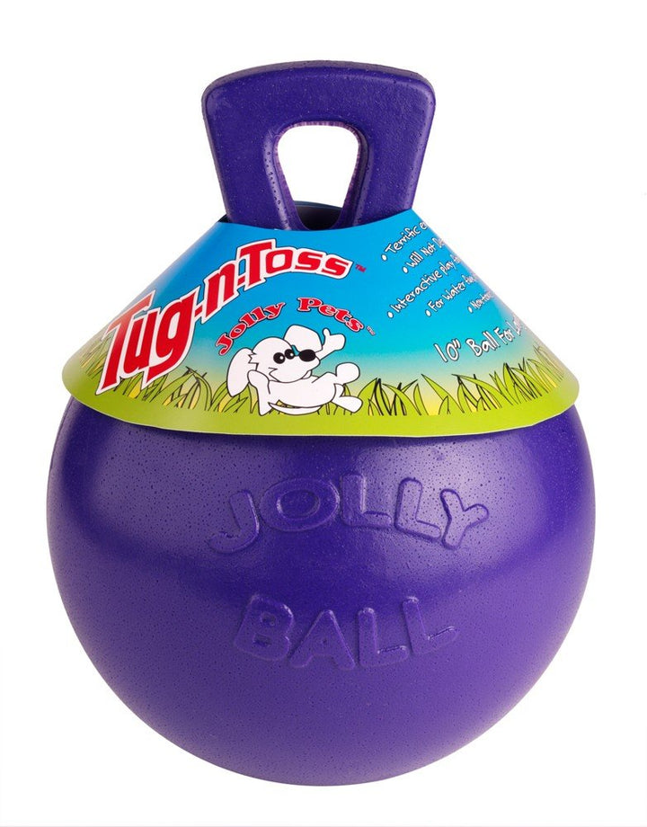 Tug-n-Toss Heavy Duty Dog Toy Ball with Handle, 6 Inches/Medium, Purple