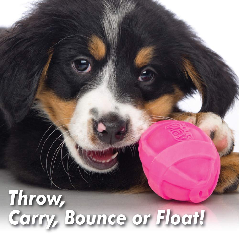 Dura Play Bacon Scented Rocket Dog Toy, Small , 1 Count