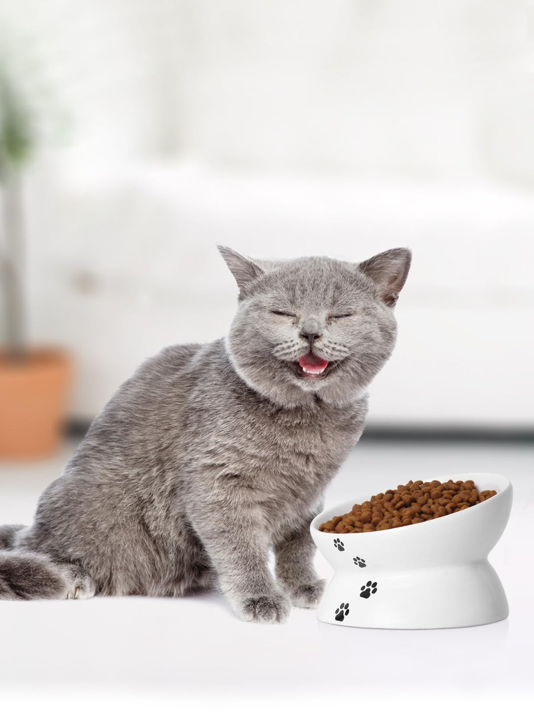 Cat Bowl Anti Vomiting, Raised Food Bowls, Tilted Elevated Bowl, Ceramic Pet Food Bowl for Flat Faced Cats, Small Dogs, Protect Pet's Spine, Dishwasher Safe (5 Inches, White)
