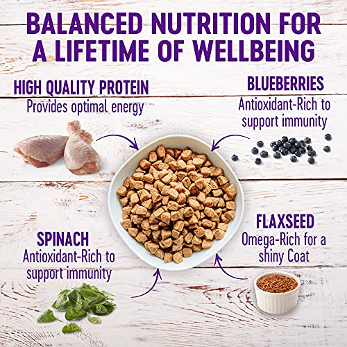 Complete Health Dry Dog Food with Grains, Made in USA with Real Meat & Natural Ingredients, All Breeds, Adult Dogs (Chicken & Oatmeal, 30-lb) – With Nutrients for Immune, Skin, & Coat Support