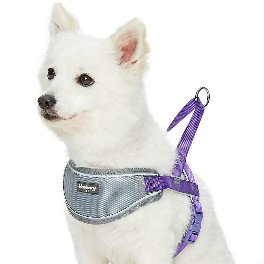 8 Colors Soft & Comfy 3M Reflective Strips Padded Dog Harness Vest, Chest Girth 30 - 38.5, Purple, Large, Nylon Adjustable Training Harnesses for Dogs