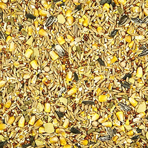 Backyard Wildlife Food Blend For Wild Squirrels, Chipmunks, Rabbits and Other Backyard Wildlife, 5 Pound