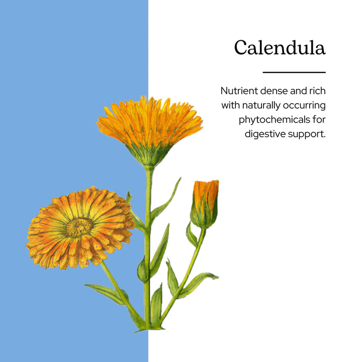 Eclectic Institute Raw Freeze-Dried Non-GMO Calendula | Immune Support | 90 CT