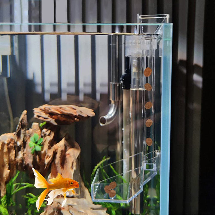 Shrimp Fish Feeding Dish, Aquarium -Sky Restaurant- Betta Feeding - Prevent Food Spilling, Fish Feeder, Also Easy to Clean Up The Food Left Over, African Feeding, Dwarf Frogs Feeding